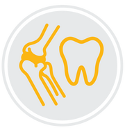 Bone & Teeth Health 