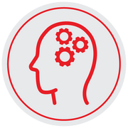 Cognitive Function