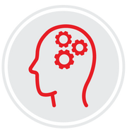 Cognitive Function