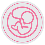 Pregnancy Support