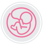 Pregnancy Support